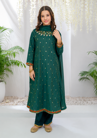 Embroidered Luxury Lawn 2-Piece Suit- AK2266