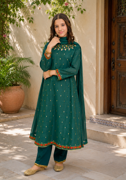 Embroidered Luxury Lawn 2-Piece Suit- AK2266
