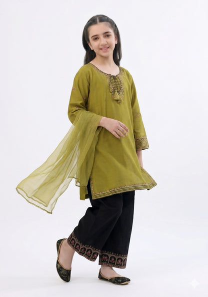 Fresh Birds Kids Embroidered Luxury Lawn – 2-Piece Suit (AK-2235)